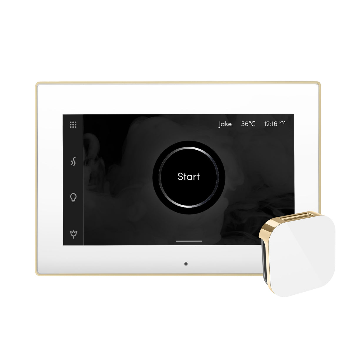 iSteamX Steam Shower Control and Aroma Glass SteamHead