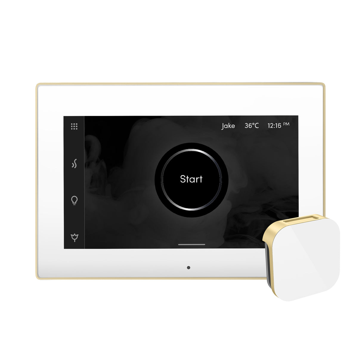 iSteamX Steam Shower Control and Aroma Glass SteamHead