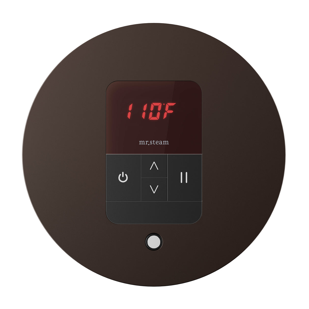 iTempo Steam Shower Control and Aroma Designer SteamHead