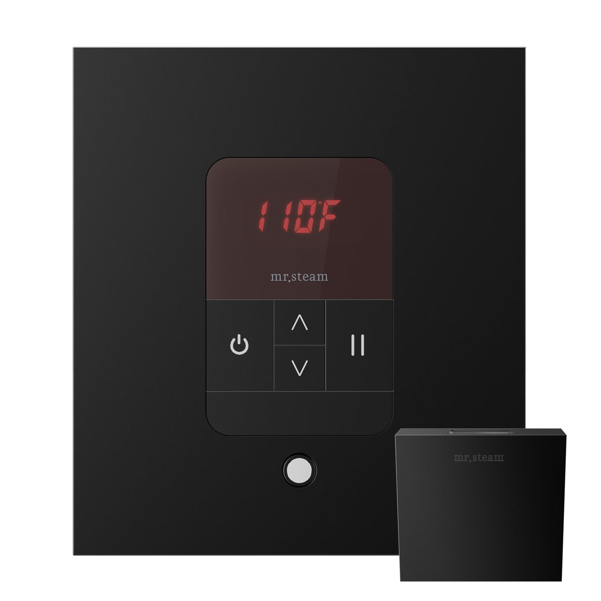 iTempo Steam Shower Control and Aroma Designer SteamHead