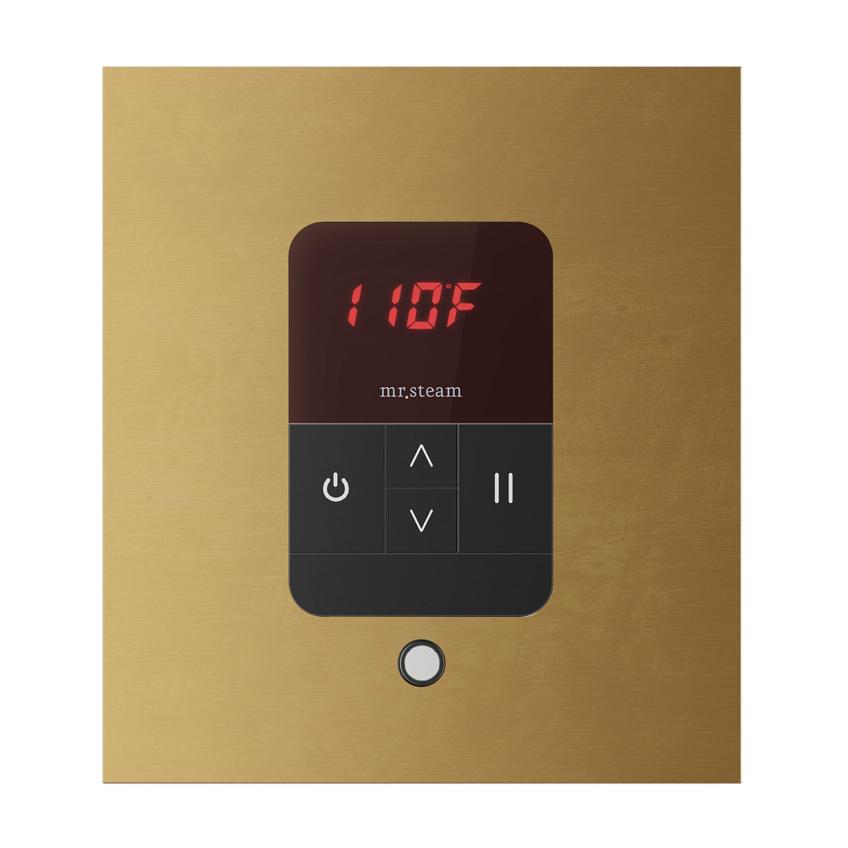 iTempo Steam Shower Control and Aroma Designer SteamHead