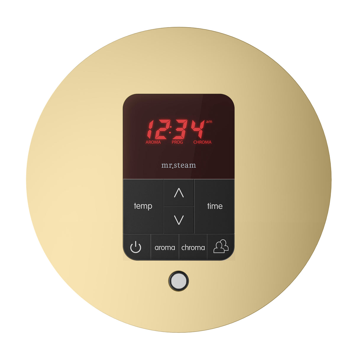 iTempoPlus Steam Shower Control and Aroma Designer SteamHead