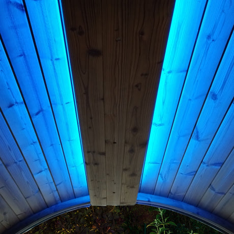 SaunaLife Emood Color Lighting for ERGO Sauna