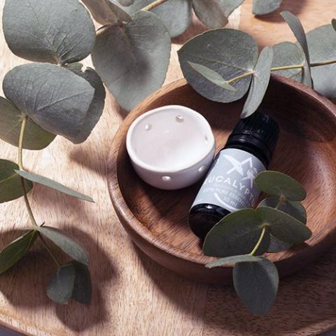 Saunum Aroma Oil Set - Eucalyptus Oil