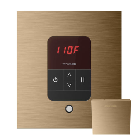 iTempo Steam Shower Control and Aroma Designer SteamHead