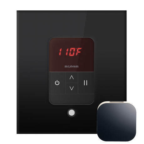 iTempo Steam Shower Control and Aroma Designer SteamHead