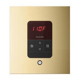 iTempo Steam Shower Control and Aroma Designer SteamHead