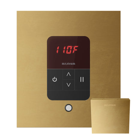 iTempo Steam Shower Control and Aroma Designer SteamHead