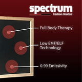 Finnmark FD-3 Full Spectrum 4-Person Infrared Sauna in Carbon Heaters by Aurora Sanctuary